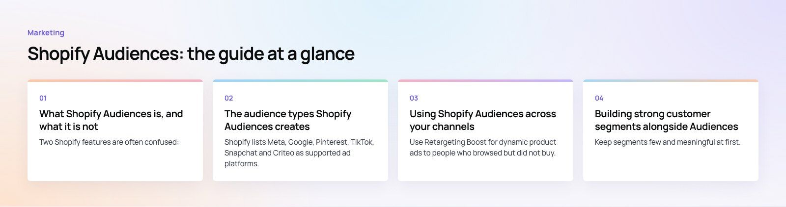 Shopify Audiences: How to Use It for Targeted Marketing: the main points, a Codeeo diagram